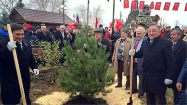 Belediye Başkanı Salman, Yalova'da Ağaç Kesti, Dağıstan'da Ağaç Dikti