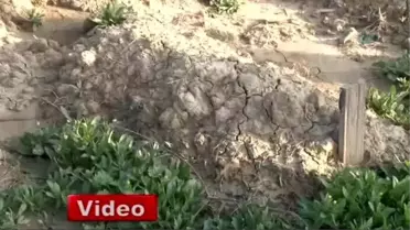 10 Yıl Önce Kaybolan Oğullarına Kimsesizler Mezarlığında Kavuştular