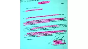 Kenyalı Annenin İkizleri, Uluslararası Çocuk Kaçırma Sözleşmesine Göre Aranıyor