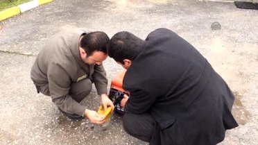 Donmak Üzereyken Bulduğu Şahine Sahip Çıktı