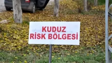 Tunceli Pertek'te Kuduz Karantinası