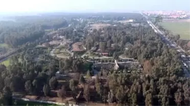 Deniz' Merakı Rekor Getirebilir