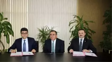 Yırca'da Santral İçin 6 Bin Ağaç Kesen Firma 60 Bin Fidan Dikecek