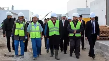 Dev Japon Fabrikası Yükseliyor