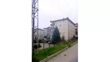 Elektrik Tellerine Konarak Kısa Devre Yaptıran Kuş İki Mahalleyi Elektriksiz Bıraktı