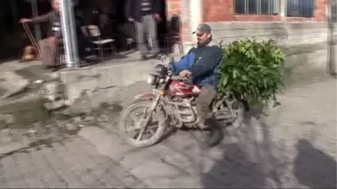 İşsiz Madencilerin İmdadına 'Defne Yaprağı' Yetişti
