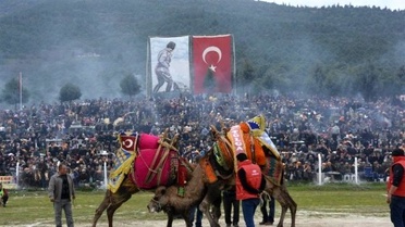 Torbalı Deve Güreşleri 22 Şubat'ta