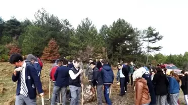 Bilecik'te 3 Bin 500 Adet Fidan Toprakla Buluşturuldu
