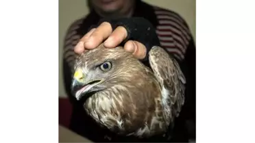 Hasta 'Kızıl Şahin'e Esnaf Sahip Çıktı