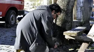 Çanakkale'de Kuduz Karantinası