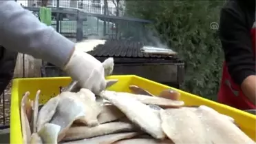 Denizli'de Öğrenciler İçin Balık Ekmek Şenliği Düzenlendi