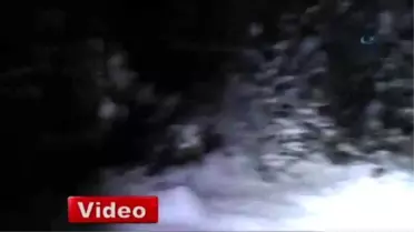 Kar Mağarasıyla Hayatta Kaldılar