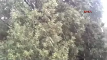 Bodrum'da Bir Günde İki Mevsim