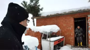 Dursunbey'de Isıtmak İçin Yakılan Soba 5 Hayvanı Telef Etti