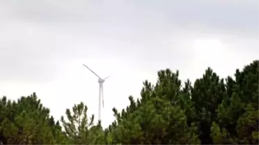 Tüm Elektrik İhtiyacını Rüzgârdan Karşılayan İlk Kampüs