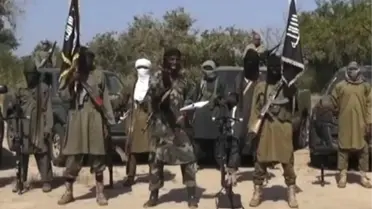 Kamerun Ordusu, 143 Boko Haram Militanını Öldürdü
