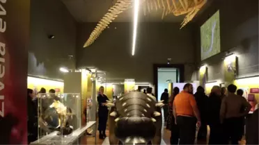 Sanja Jurca Avcı'dan Evrim İçin Sergi