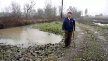 Minik Yeşim'in Dramatik Ölümü