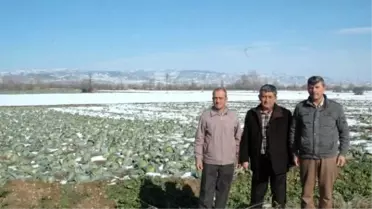 Kar Kışlık Ürünlere Yaradı