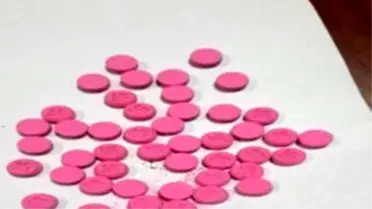 Sakarya'da Ruhsatsız Tabanca ve Uyuşturucu Hap Ele Geçirildi