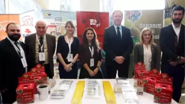 Geçen Yıl 555 Ton Atık Pil Toplandı