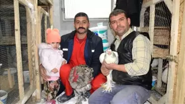 Dünyanın Tavuklarını Burada Yetiştiriliyor