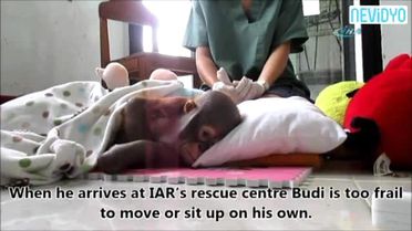 Doktorlar Onun İçin Seferber Oldu