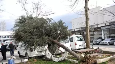 Lodos Hayatı Felç Etti