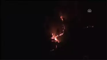 Zonguldak'ta Orman Yangını