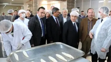 Ellerinin Hamuruyla Meslek Sahibi Olacaklar