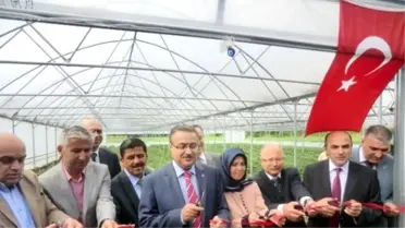 Düzce'de Tarım ve Hayvancılıkta 2014 Yılı Dolu Dolu Geçti