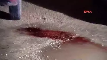 Adana 6 Yıl Sonra Ağabeyi Gibi Öldürüldü