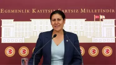 CHP'li Sakine Öz'den Ölüm Kavşağı ile İlgili Soru Önergesi