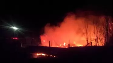 Yalnız Yaşadığı Evde Çıkan Yangında Öldü
