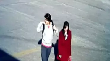 Zeytinlik Alanda Yakılan Emine'nin Ölüme Gidişi Kameralara Yansıdı