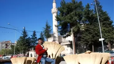 Organik Süpürgeler Teknolojiye Meydan Okuyor