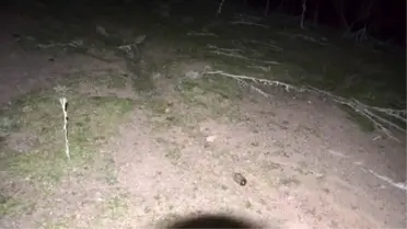 Şarkikaraağaç'ta Boş Arazıde Tnt Patlayıcı Bulundu
