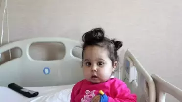 Üç Bebek, Aynı Kader