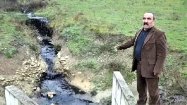 Dilovası'nda Dereler Simsiyah Akmaya Başladı