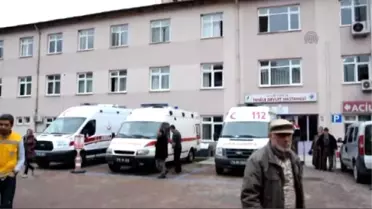 Kestiği Ağacın Altında Kalan 2 Kişi Öldü