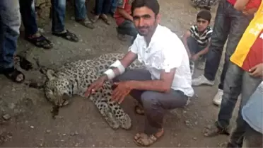 Leopar Davası Hakimi: Hayatlarında Leopar Görmediler