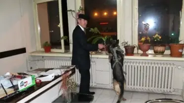 Işid'in Tehdit Ettiği Avukatı Kurt Köpeği Koruyor