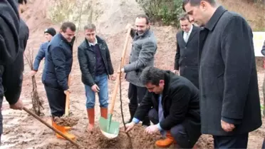Maden Sahasına Fidan Dikildi