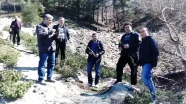 Orman Haftası Havran'da Kutlandı