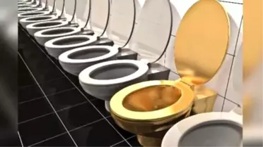 Scientists Say Your Poop İs A Gold Mine