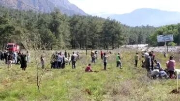 Köyceğiz'de Sığla Dikim Şenliği Düzenlendi