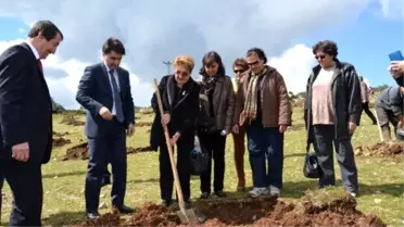 Belen'de Bin 500 Fidan Dikildi