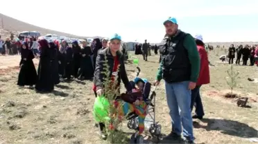 Gönül Elçileri 'Bereket Ormanı' Oluşturdu