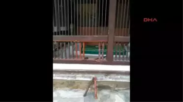 Makedonya'da Sersem Ali Baba Türbesine Çirkin Saldırı