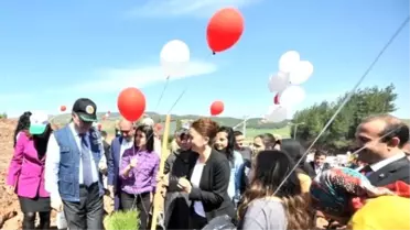 Osmaniye'de Bereket Ormanı Oluşturuldu